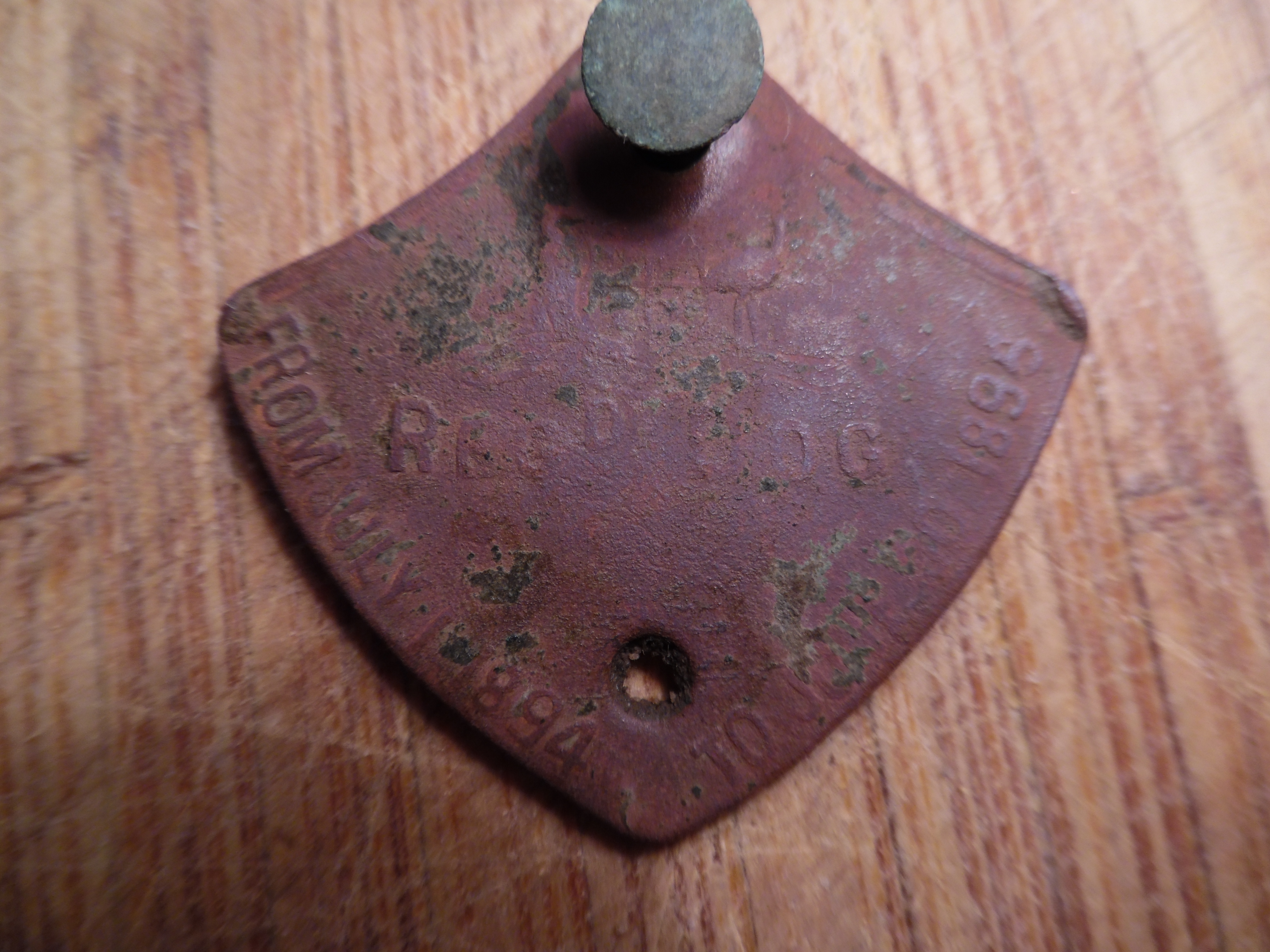 Metal detecting an old school camp ground